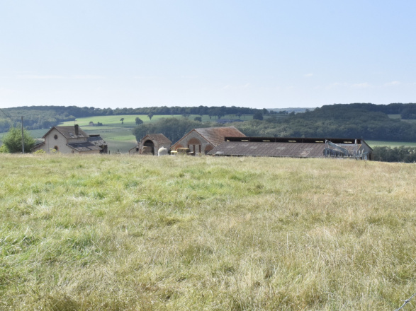 Région Bourbon-Lancy. FERME RETIRÉE SUR 40 HECTARES